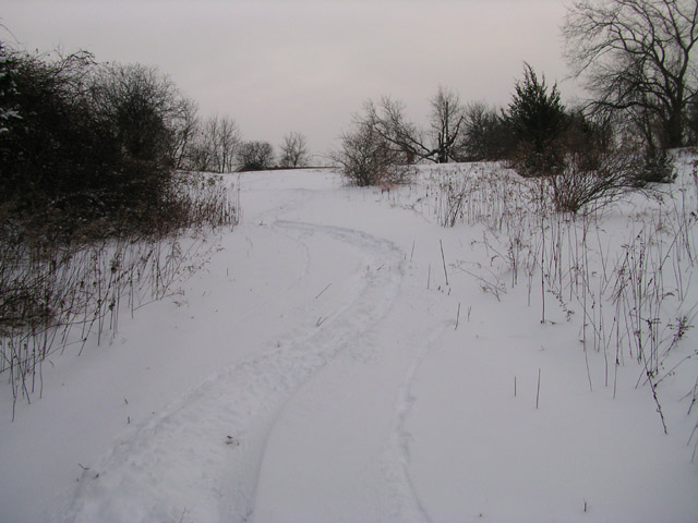 bigred5036_powdertracks.jpg