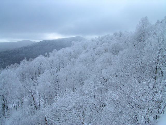 20110113_072middleburyview.jpg