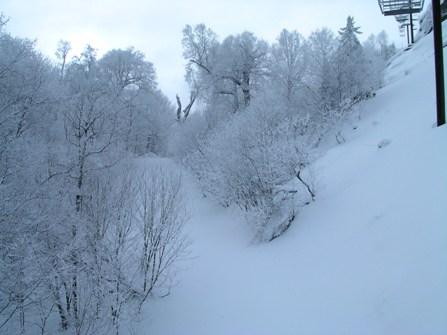 20110113_08middlebury.jpg